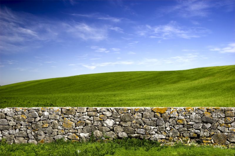 Rock Wall Landscaping detail