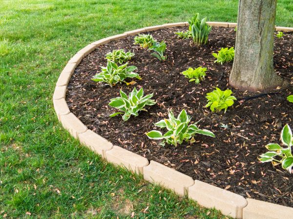 Stone Border Installation in Hampstead