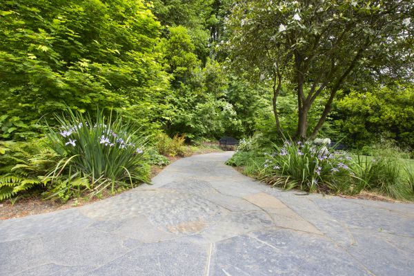 Stone Hardscape Service in Hampstead