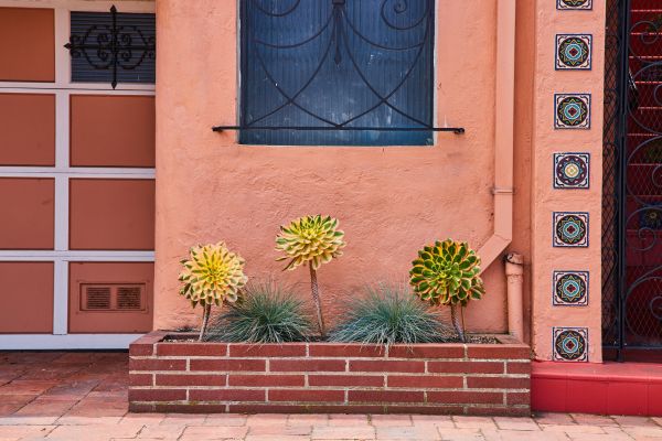 Brick Planter Installation in Hampstead