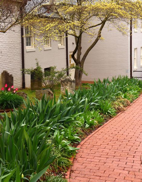 Brick Flatwork Repair in Hampstead